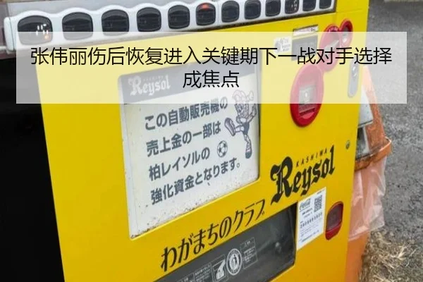 张伟丽伤后恢复进入关键期下一战对手选择成焦点 - KOKSPORTS